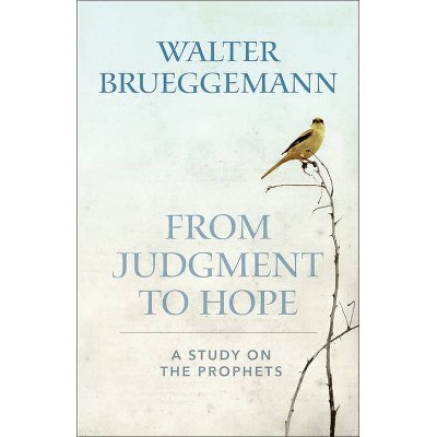 From Judgement to Hope - by  Walter Brueggemann (Paperback)