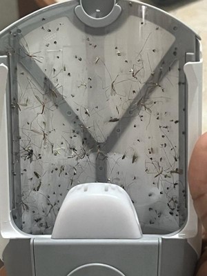 Guest review image 1 of 1, zoom in