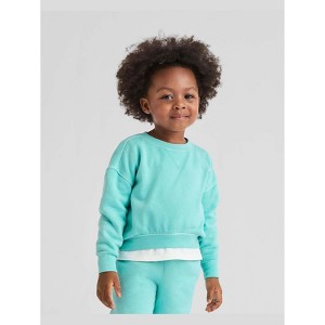 The Children's Place Toddler Girls Active Long Sleeve Garment Dyed Premium Fleece Sweatshirt - 1 of 4