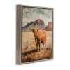 Stupell Industries Cow Of The Desert Floating Frame Canvas Art - 2 of 4