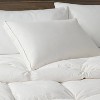 Firm Feather & Down Bed Pillow - Threshold : Target