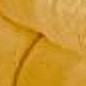 sahara sun