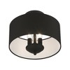 Livex Lighting Birchwood 3 - Light Semi-Flush Mount in  Black - 2 of 4