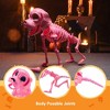 Joyfy 12.6’’ Pink Puppy Skeleton with Posable Joints, Full Body Dog Skeleton for Graveyard Haunted House Party Halloween Indoor Outdoor Decor - 2 of 4