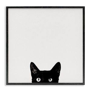 Stupell Industries Black Cat Peeking From Below, 12" x 12" - 1 of 4
