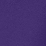 midnight violet