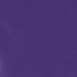 midnight violet