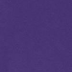 midnight violet