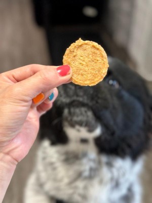 Guest review image 1 of 1, zoom in