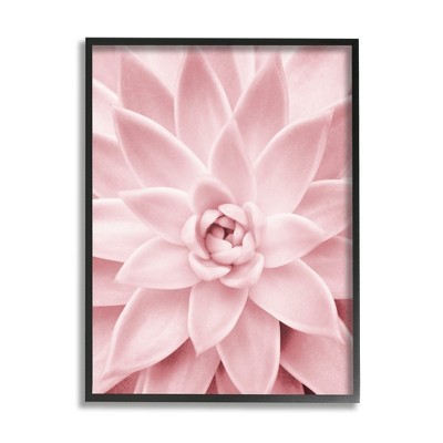 Stupell Industries Pastel Pink Succulent Framed Giclee Art
