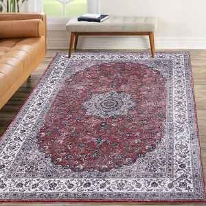 Washable 4x6 Rug Floral Medallion Rug for Living Room, Non Slip Non Shedding Low Pile Vintage Retro Carpet - 1 of 4