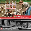 GustoWave  Chicken Nesting Box Nesting Boxes - 4 of 4