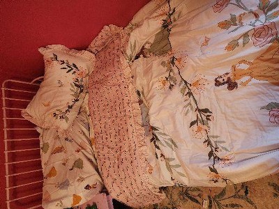 Guest review image 1 of 2, zoom in
