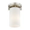 Livex Lighting Astoria 1 - Light Flush Mount in  Brushed Nickel - 4 of 4