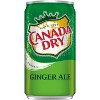 Canada Dry Ginger Ale Soda - 10pk/7.5 Fl Oz Mini Cans : Target