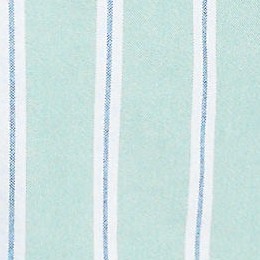 bay water green/cobalt stripe