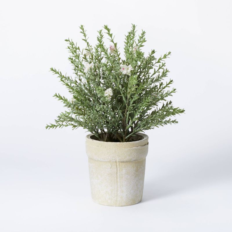 Flowering Thyme Potted - Threshold&#8482; designed with Studio McGee, 1 of 5