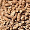 Bear Mountain BBQ Holiday Turkey Blend All Natural Low Moisture Hardwood Maple, Hickory, and Cherry Smoker Pellets for Outdoor Grilling, 20 Pound Bag - 4 of 4