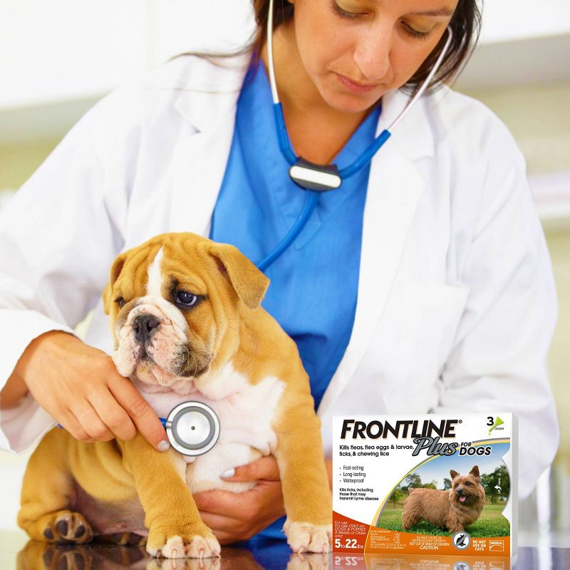 Frontline Plus Flea and Tick Treatment for Dogs - 3 doses, 5 of 9