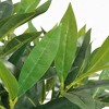 vidaXL Artificial Plant Green Plastic, Real wood Medium - 2 of 2