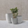 Rosemead Home & Garden 3pc Concrete Outdoor Planter Pots Cement Gray - 3 of 4