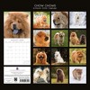 2026 Square Wall Calendar, Chow Chow, 16-Month Animals Theme with 180 Reminder Stickers (12x12 In) - 4 of 4