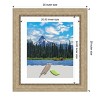 Amanti Art Astor Champagne Picture Frames - 4 of 4