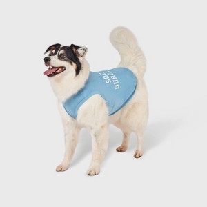 Tank Sock Burglar Dog Shirt - Boots & Barkley™ - 1 of 3