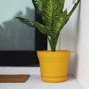 Bloem Saturn Round Resin Planter Pot Indoor and Outdoor Gardening - 2 of 4
