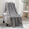 Plazatex Chevron Micro plush Decorative All Season Grey 50" X 60" Throw Blanket - 2 of 4