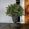 24" Prelit LED Crestwood Spruce Porch Bush Twinkly Lights - National Tree Company - 2 of 4