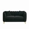 63" Chenille Loveseat Sofa, Luxury 2-Seater Tufted Couch with Gold Metal Legs, High-Density Foam, Throw Pillows, 500 lbs Capacity - 4 of 4