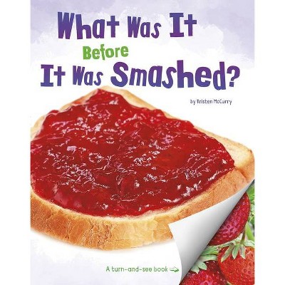 What Was It Before It Was Smashed? - (What Was It?) by  Kristen McCurry (Paperback)