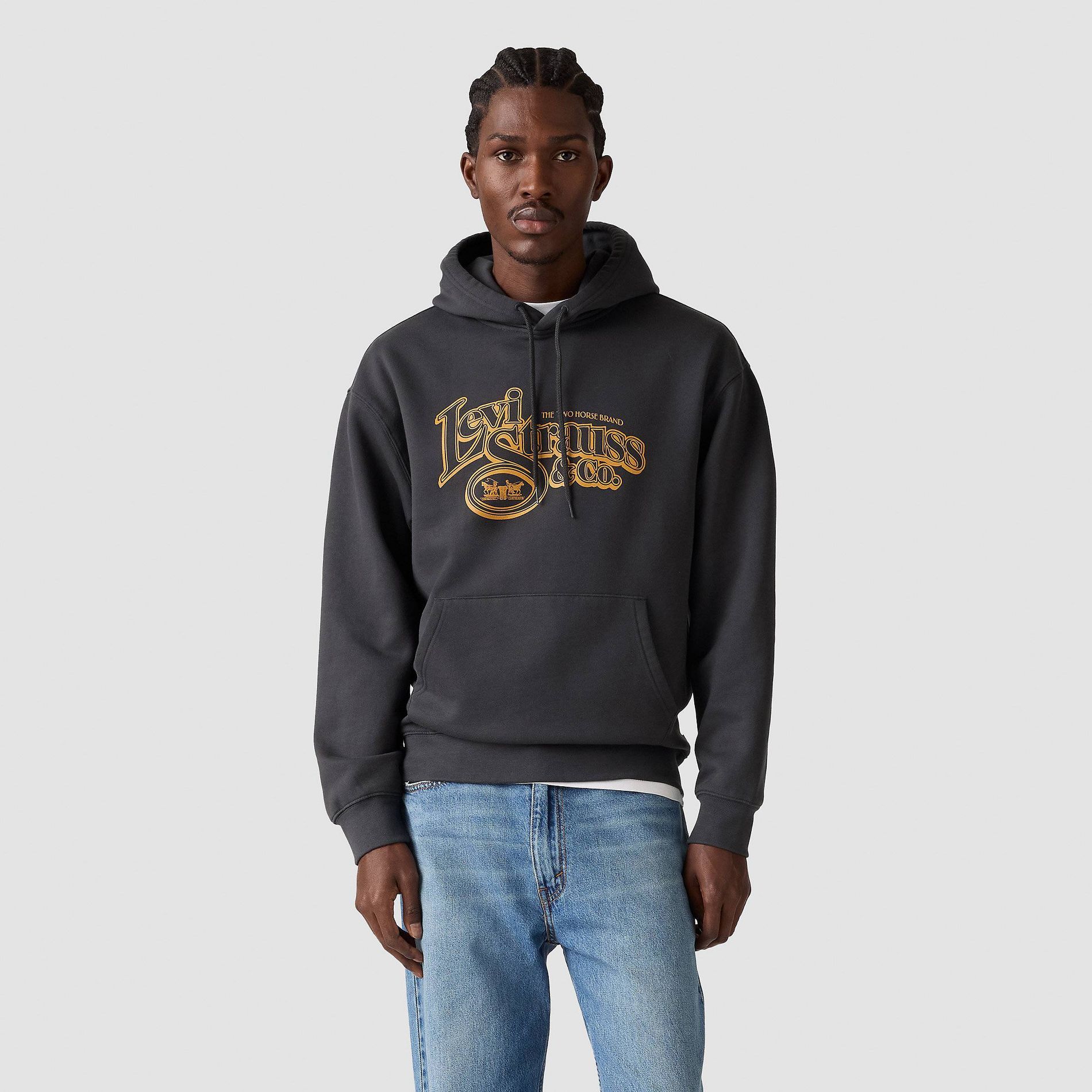 Levi's® Men's Relaxed Fit Pullover Hoodie Sweatshirt - Phantom 2 Horse