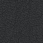 west virginia mountaineers