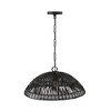 Capital Lighting Naomi 1 - Light Pendant in  Matte Black - 3 of 4