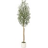 5/6/7 FT Artificial Olive Tree, Realistic Natural Wood Trunk, Plant with White Flower Pot and Green Fake Moss Outdoor Tree for Home Porch Decoration - 2 of 4