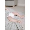 aden by aden + anais Snuggle Knit Swaddle Blanket - image 4 of 4