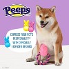 Peeps for Pets Plush Chick Rope Pull Toy for Dogs Squeaker Dog Toy - Pink/Purple - 2 of 4