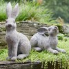 Weathered Stone Garden Rabbit Figurine (Set of 2) - 2 of 3