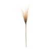 Melrose Grass Plume Bundle (Set of 2) - 4 of 4