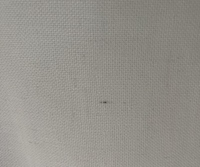 Guest review image 5 of 5, zoom in