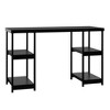 Arborview double deals pedestal desk