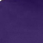 midnight violet