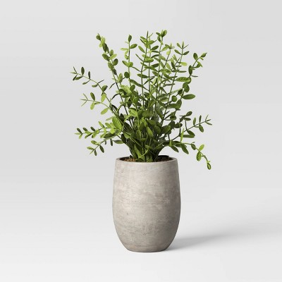 3.5 Artificial Moss In Textured Pot Green - Threshold™ Designed With  Studio Mcgee : Target