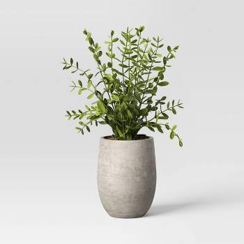 14" Privet Artificial Plant - Threshold™ designed with Studio McGee