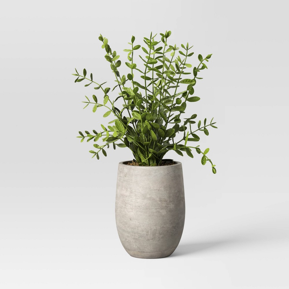 14" Privet Artificial Plant - Threshold™ designed with Studio McGee