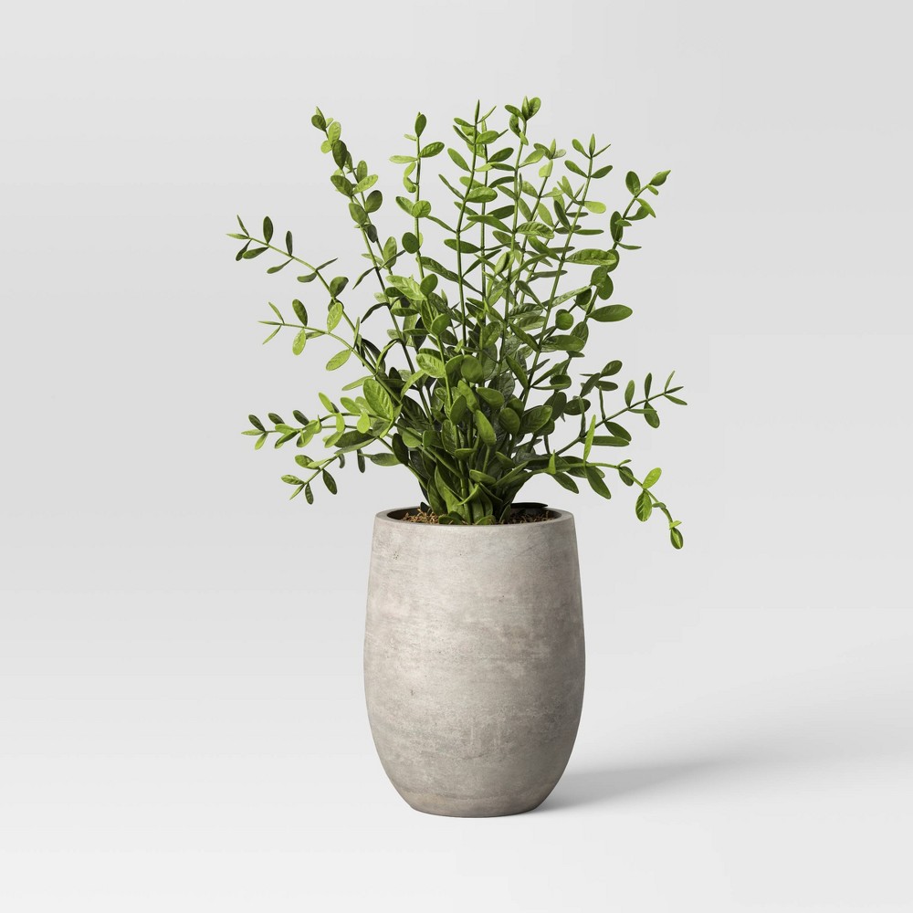 Photos - Other interior and decor 14" Privet Artificial Plant - Threshold™ designed with Studio McGee