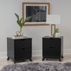 Powell Set of 2 Pensy 2 Drawer Nightstands - image 2 of 4