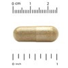 California Gold Nutrition EuroHerbs™, Lemon Balm Extract, Euromed Quality, 500 mg, 60 Veggie Capsules - 3 of 3
